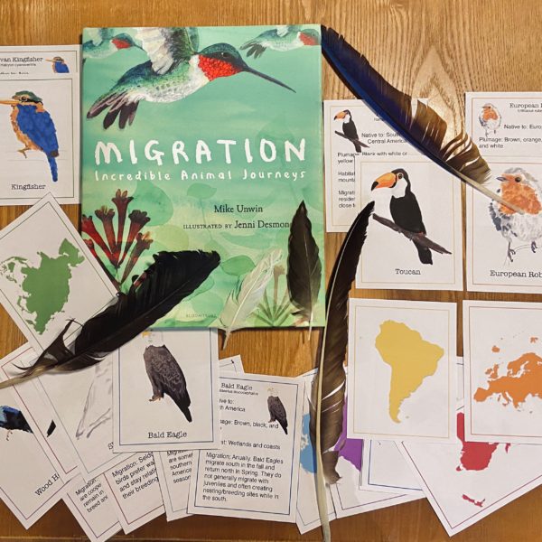 Prep Pack: Birds